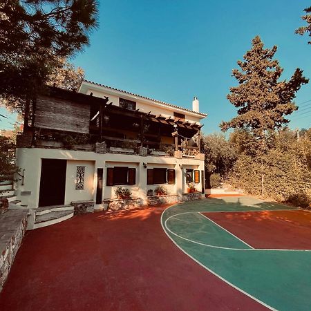 Villa Eleni Сунион Экстерьер фото